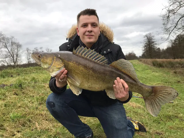 Zander