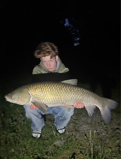 Graskarpfen