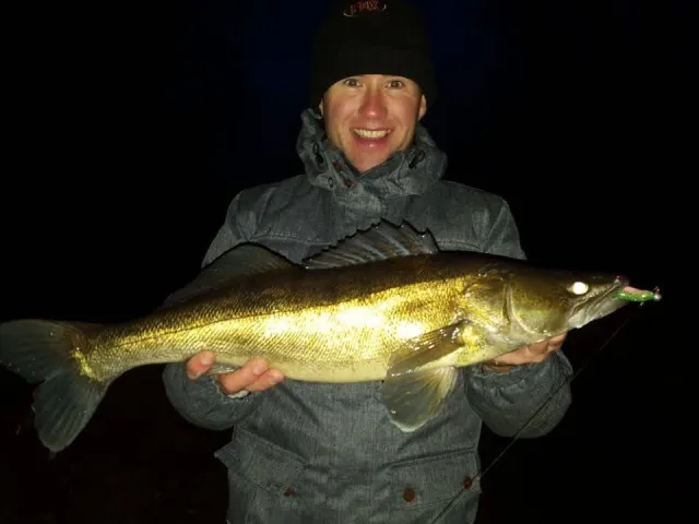 Zander