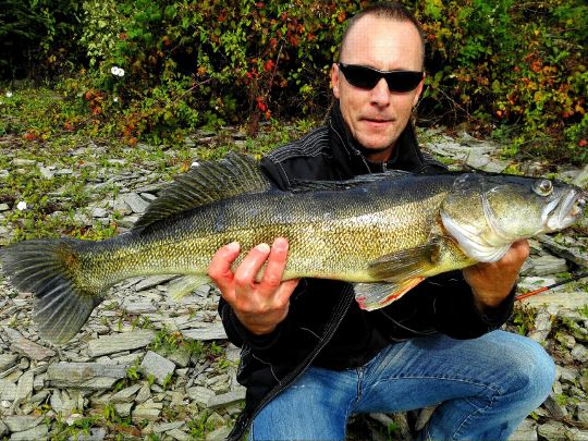 Zander