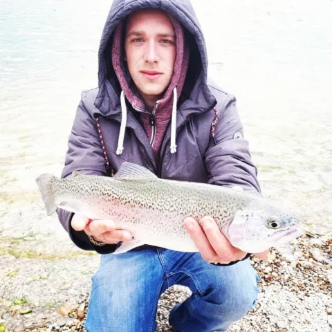 Regenbogenforelle