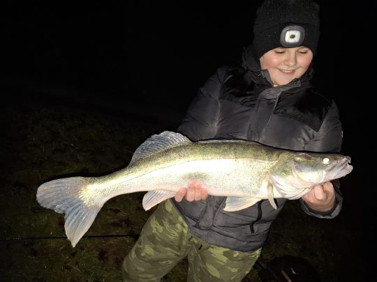 Zander