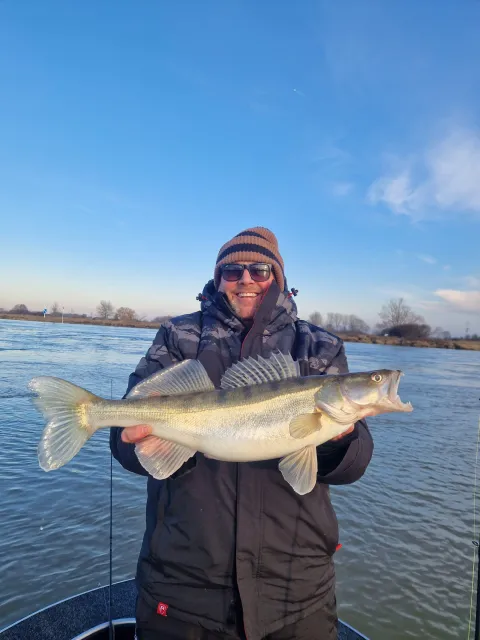 Zander