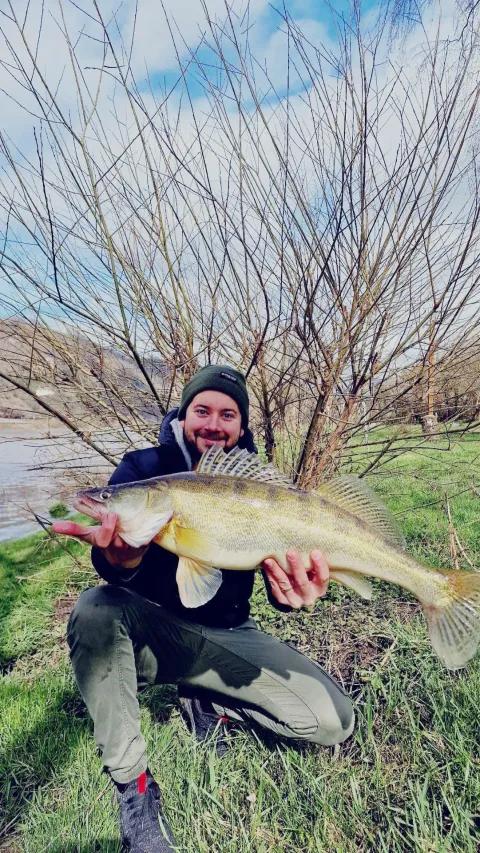 Zander