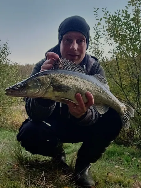 Zander