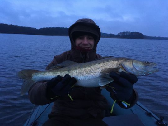 Zander