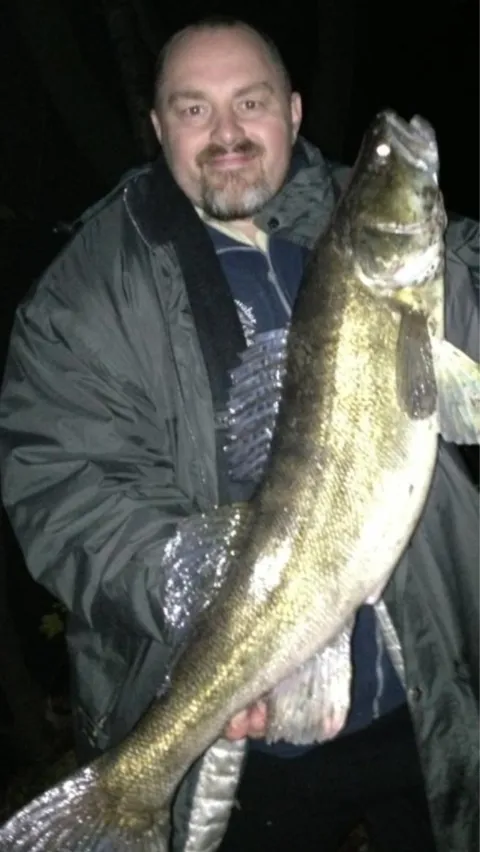 Zander