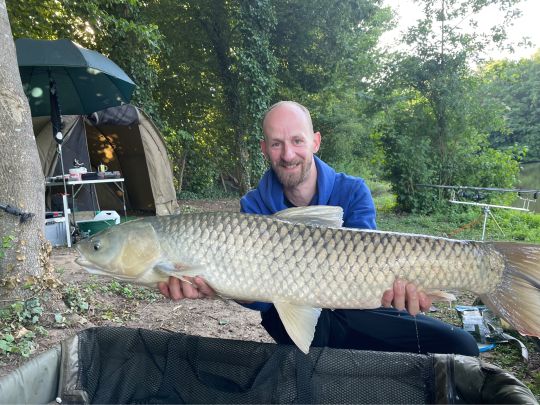 Graskarpfen