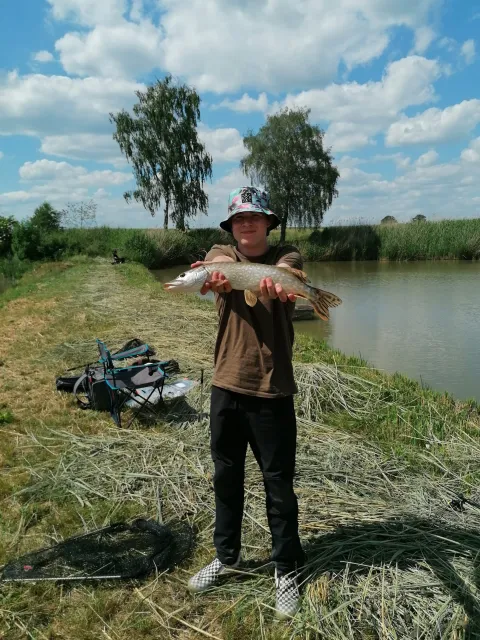 Hecht