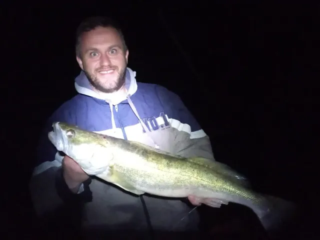 Zander