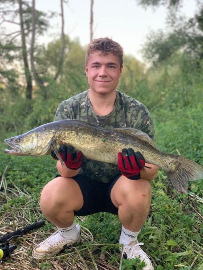 Zander
