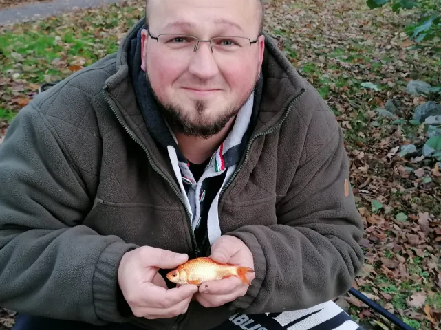 Goldfisch