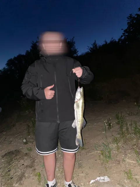 Zander