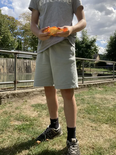 Goldfisch