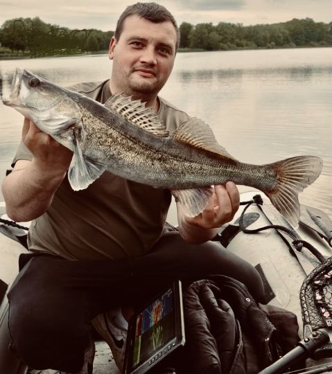 Zander