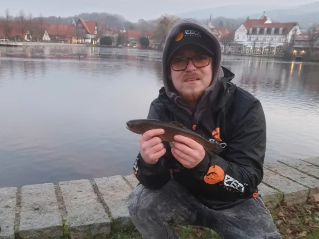 Regenbogenforelle