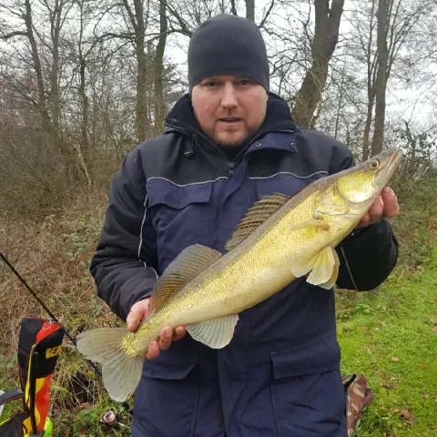 Zander