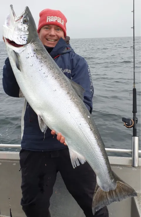 Lachs