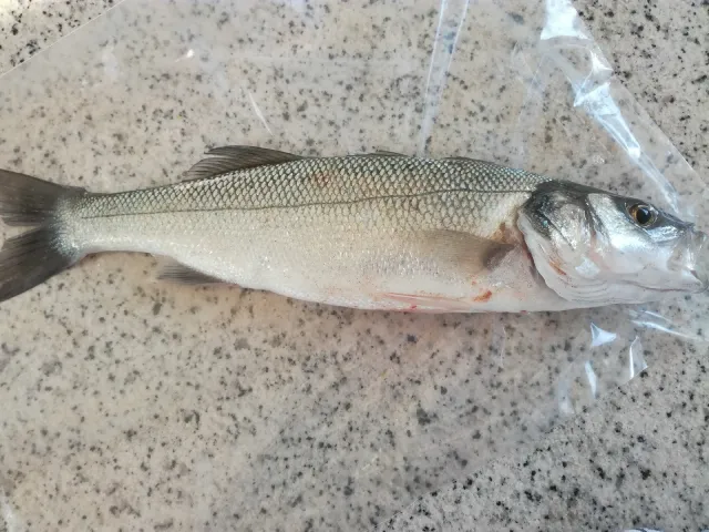 Wolfsbarsch