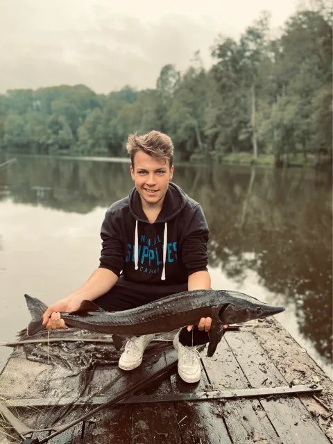 Stör