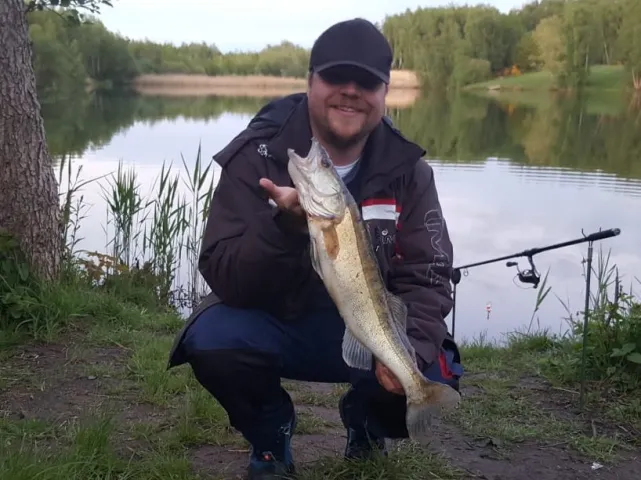 Zander