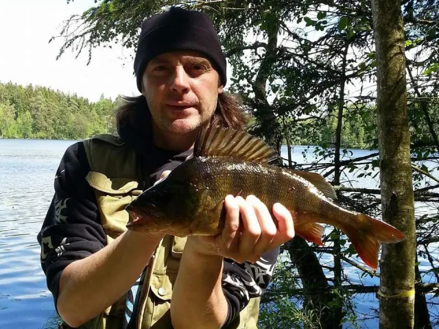 Flussbarsch