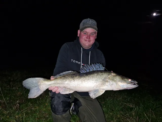 Zander