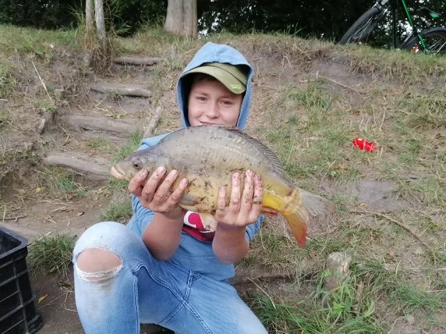 Karpfen