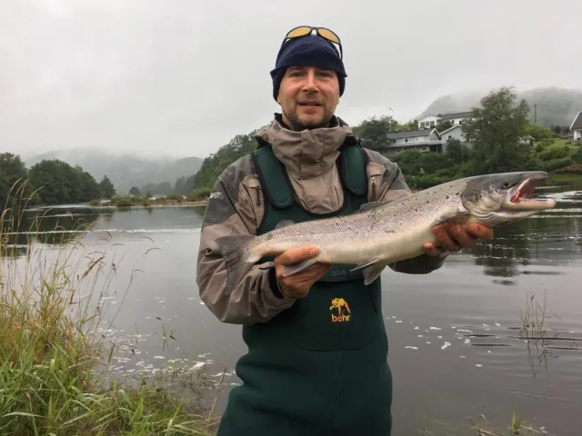 Lachs