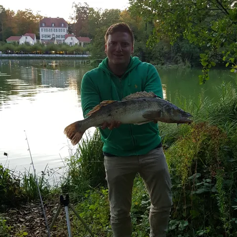 Zander