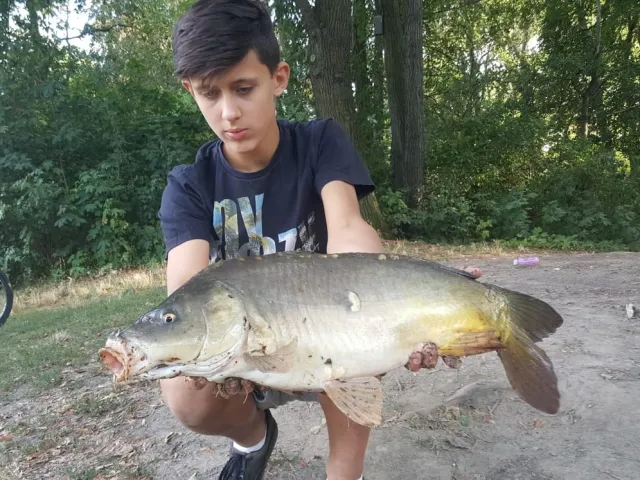 Karpfen