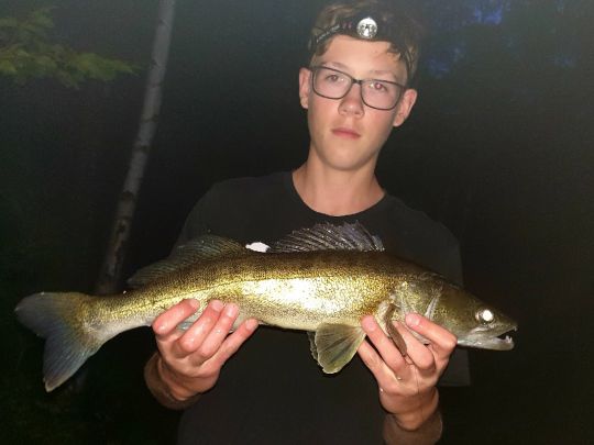Zander