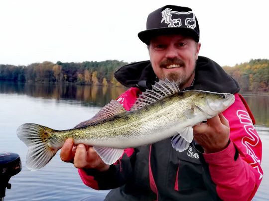 Zander