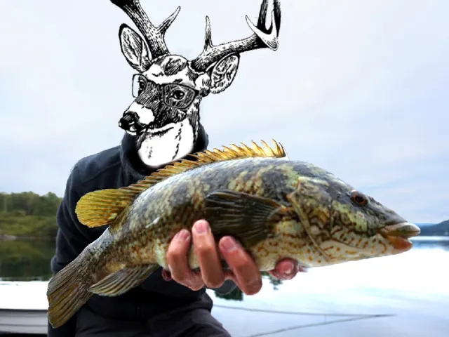 Lippfisch