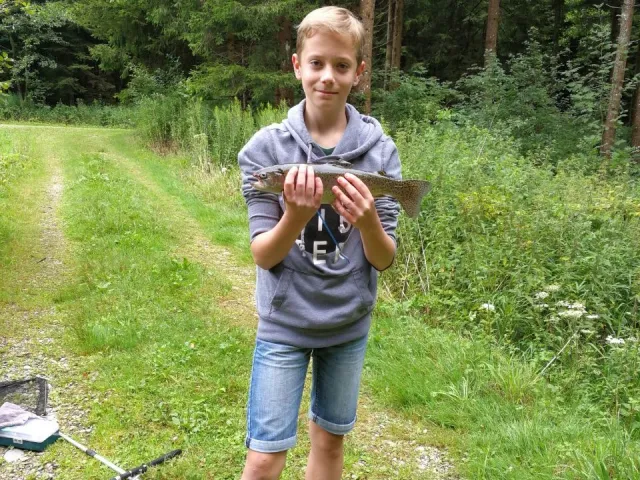 Regenbogenforelle