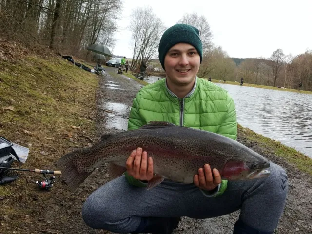 Regenbogenforelle