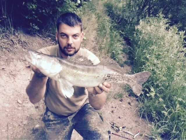 Zander