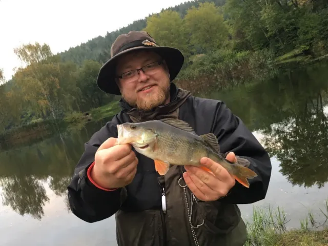 Flussbarsch