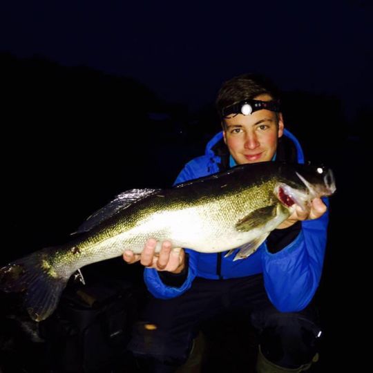 Zander