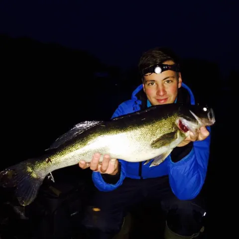 Zander