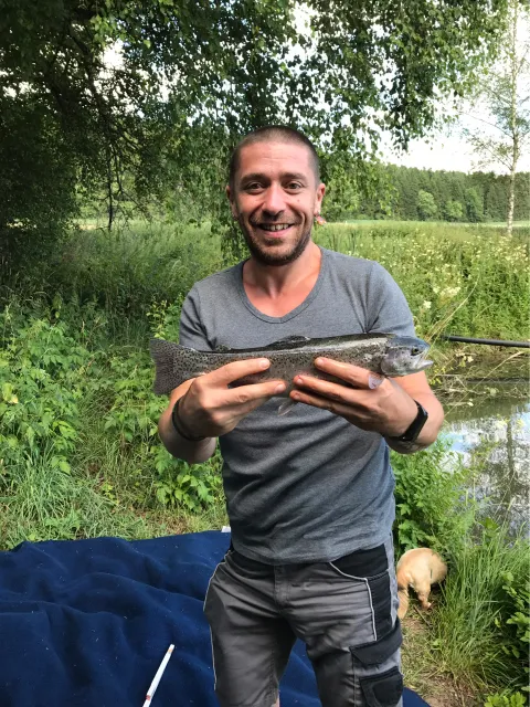 Regenbogenforelle