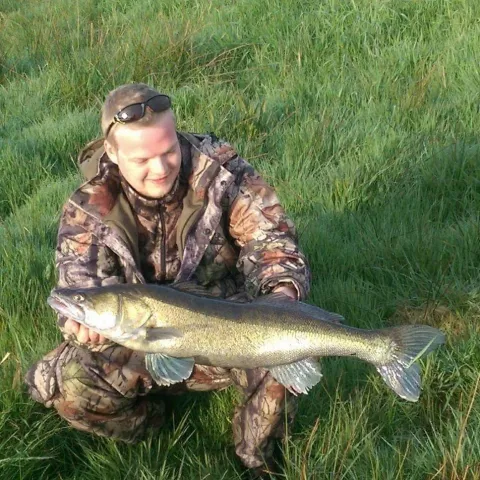Zander