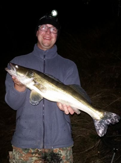 Zander