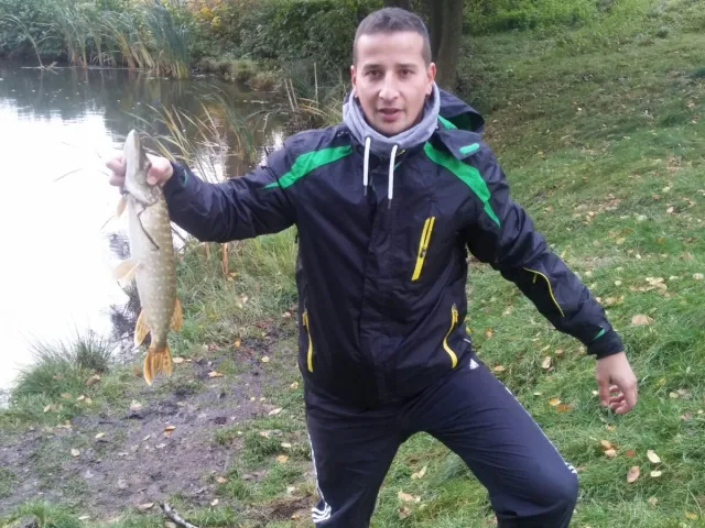 Hecht