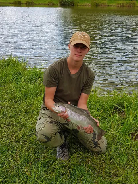 Regenbogenforelle