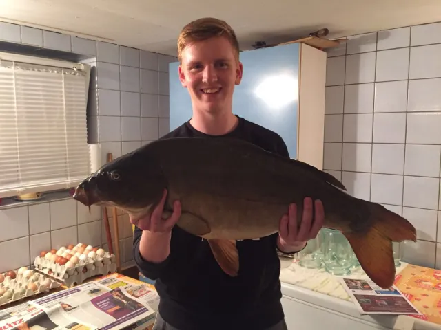 Karpfen