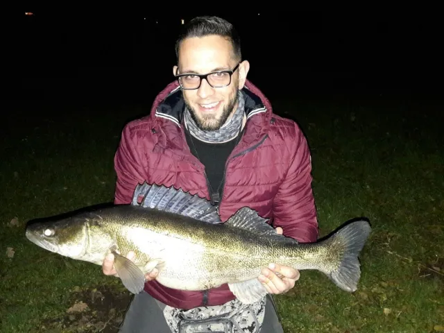Zander