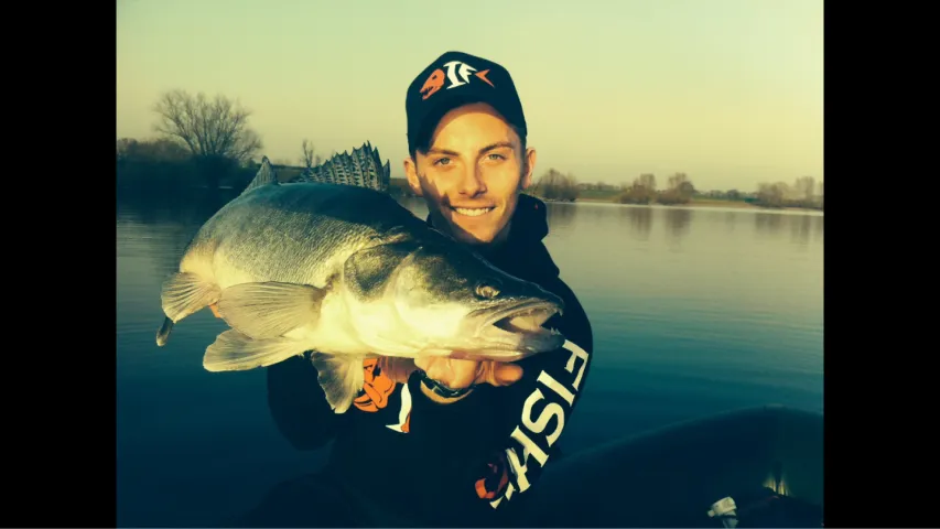 Zander