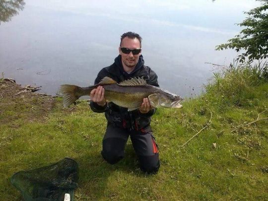 Zander