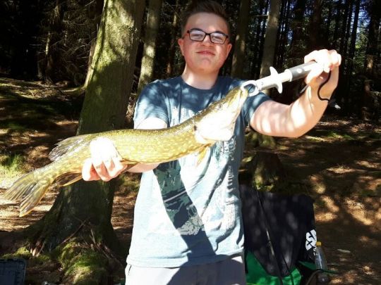 Heiliger Teich (Brünlos) ALLE ANGELN